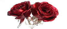 Enamel Roses