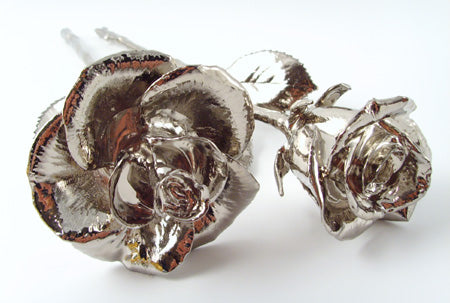 platinum roses