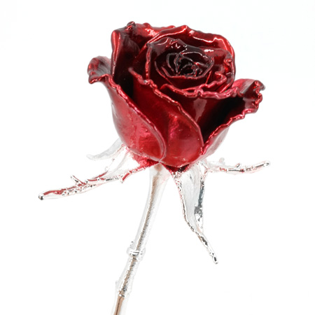 enamel preserved real rose red close up