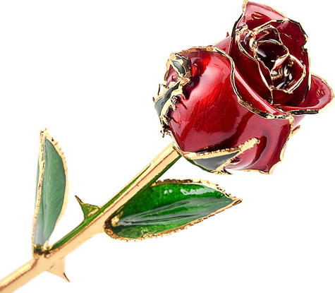 Gold Trim Glazed Rose Close Up
