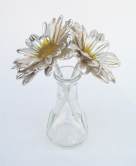 Silver Daisy Gift